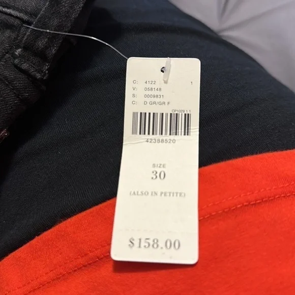 Pilcro Script High-Rise Embellished - Picture 9 of 10